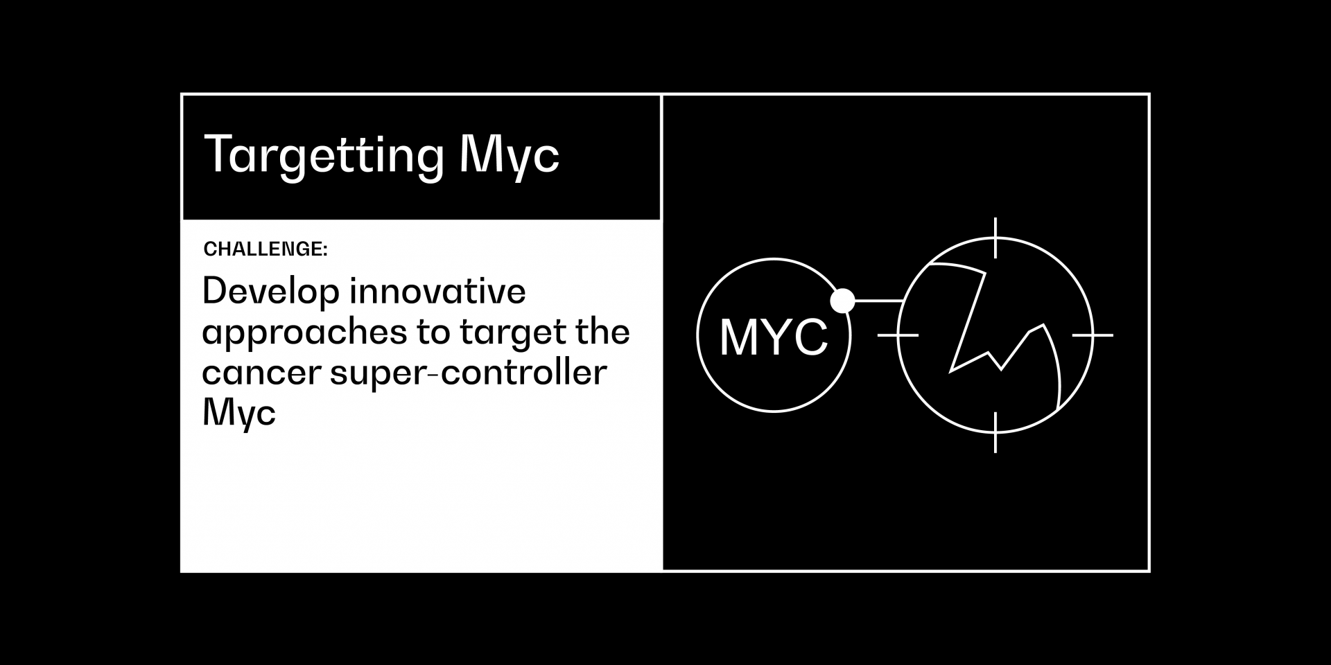 Targeting Myc cancer grand challenge